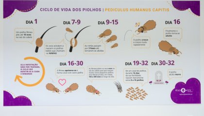 Kids and Nits Amadora 3